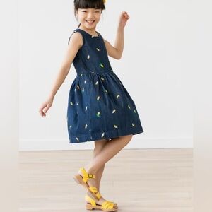 Hanna Andersson Denim Sleeveless Dress Embroidered Pineapples & Ice Cream Cones